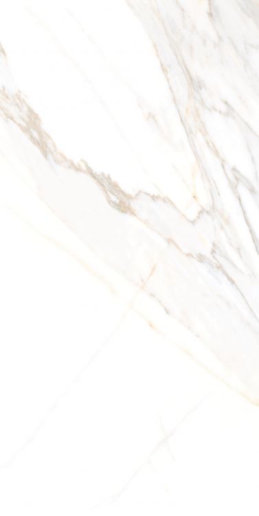 Aurum Calacatta Polished 24 x 48
